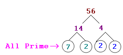 Step 1: The factor tree of 56